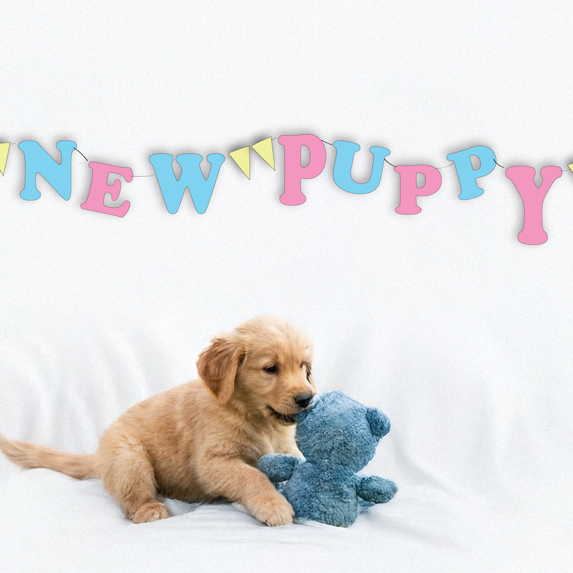 Tips for Long-term Health in Puppies