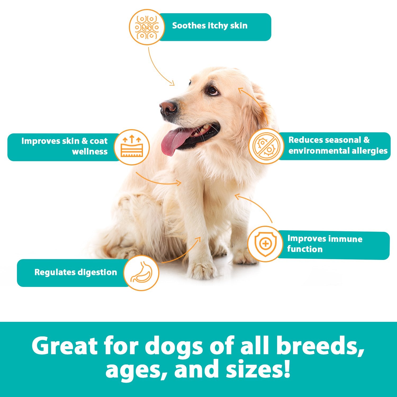 RestoraPet Allergy, Itch & Immune Support Chews - 60 Count - Bacon Flavor