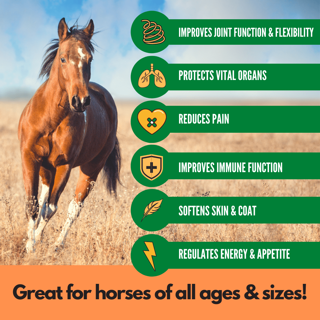 RestoraPet AM Formula For Horses - Apple-Carrot Flavor