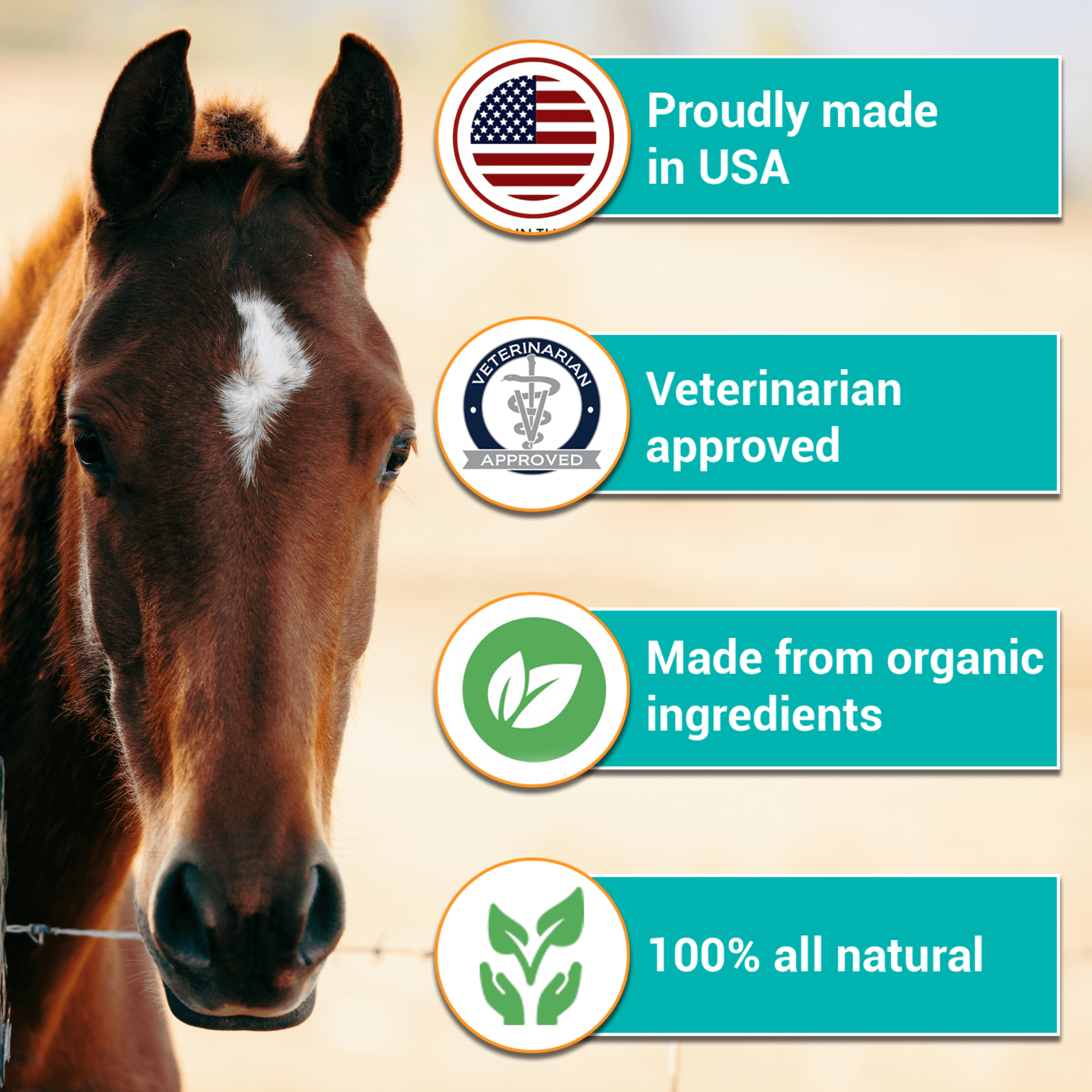 RestoraPet AM Formula For Horses - Apple-Carrot Flavor