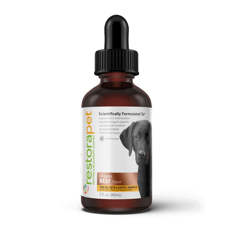 RestoraPet AM Formula