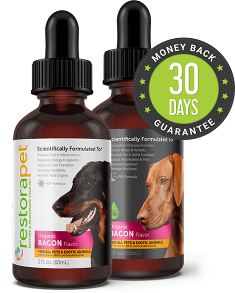 Buy RestoraPet PM formula & Get RestoraPet AM formula FREE Every Month!!