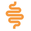 Digestive Wellness