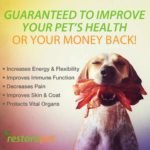 RestoraPet – Monthly Subscription Service – BACON