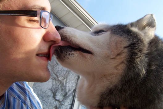 brian and bandit